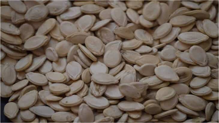 تفسير رؤية اللب في الحلم ومعناه