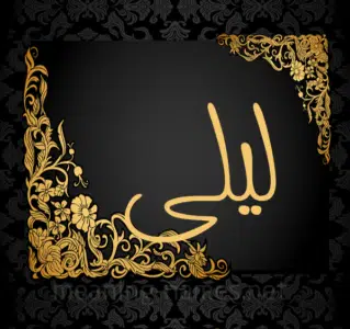 معنى اسم ليلى Laila حسب علم النفس 1