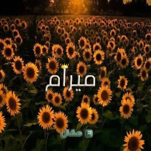 معنى اسم ميرام