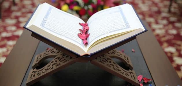 تفسير رؤية تجويد القرآن وتفسيره في المنام