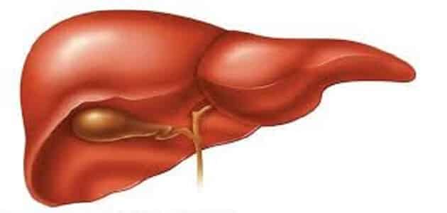 كيفية التخلص من سموم الكبد