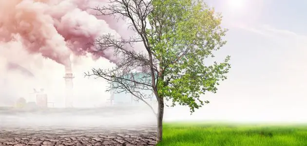 أنواع التلوث البيئي وأضراره