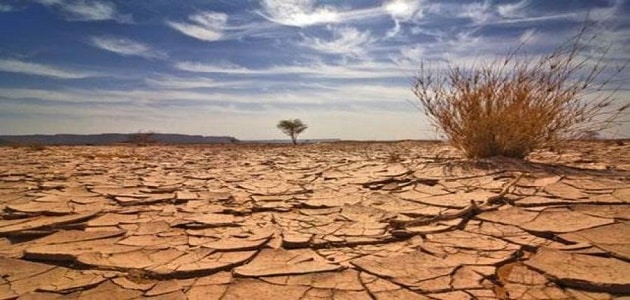 التصحر في الوطن العربي وكيفية التغلب علية