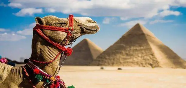 بحث عن السياحة في مصر للصف الرابع الابتدائي
