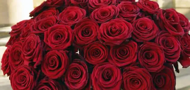 تفسير حلم إهداء الورد للعزباء والمتزوجة والرجل