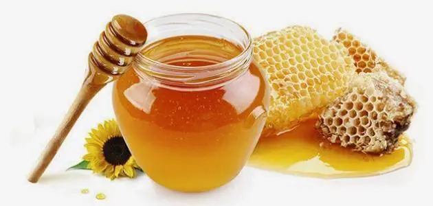 تفسير حلم اكل العسل للعزباء والمتزوجة والرجل