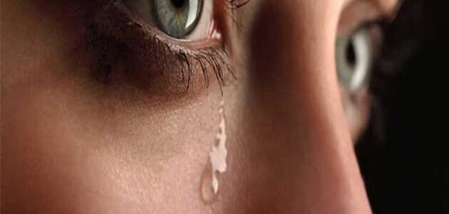 رؤية الشخص الذي تحبه يبكي في المنام: رسالة عاطفية صادقة! - مقدمة