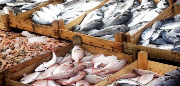 تفسير حلم شراء السمك من السوق