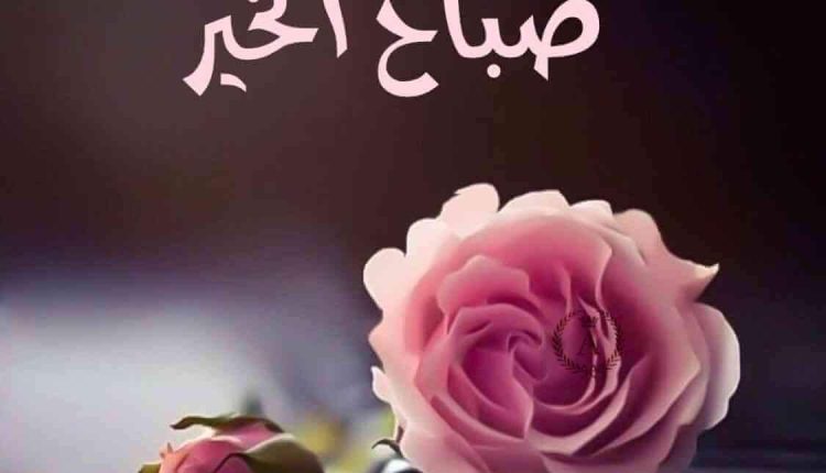 صباح الخير والسعادة