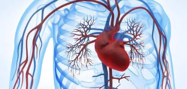علاج ضعف الأوعية الدموية