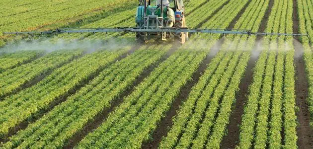 أهمية الزراعة في الوطن العربي