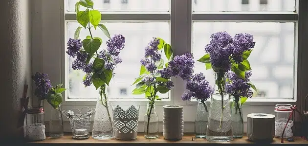 6 نصائح تجعل رائحة منزلكم عطرة على مدار اليوم
