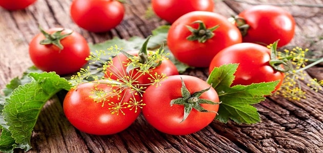 طريقة زراعة الطماطم بدون تربة