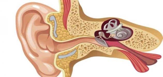 ما هي أعراض التهاب عصب الأذن