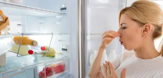 خطوات للقضاء على الرائحة الكريهة من الثلاجة