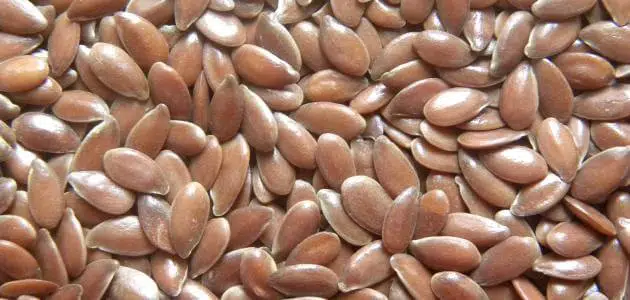 تجربتي مع بذره الكتان والزبادي