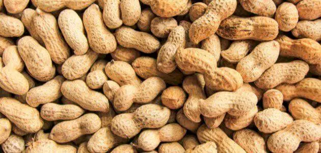 رؤية أكل الفول السوداني في المنام للمتزوجة