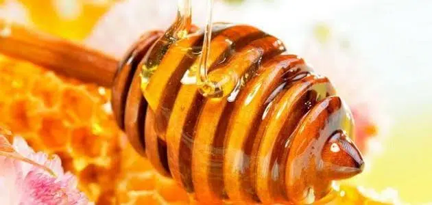 أفضل خلطة عسل لزيادة عدد الحيوانات