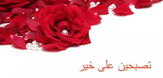 بوست تصبح على خير للحبيب