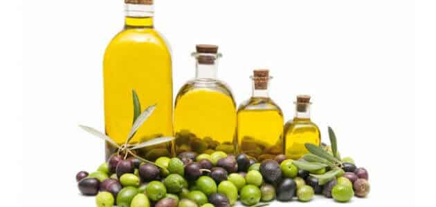 تجربتي مع زيت الزيتون للبواسير