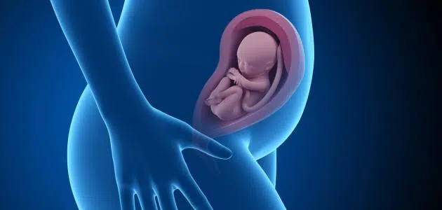 هل الانحناء يؤثر على الجنين