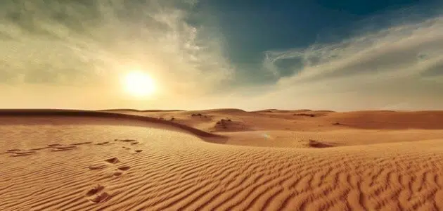 أهمية البيئة الصحراوية