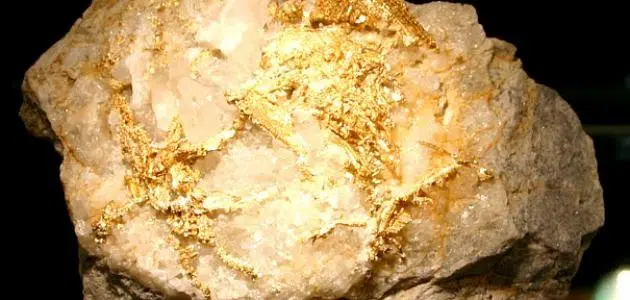 الصخور التي تحتوي على الذهب