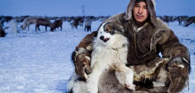 كيف يعيش الناس في القطب الشمالي