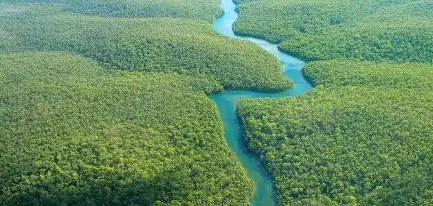 أين يقع نهر الأمازون