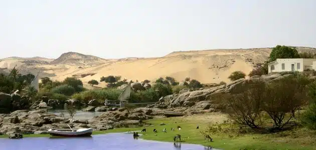 بحث عن حوض النيل