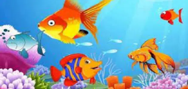 معلومات عن البحار للأطفال