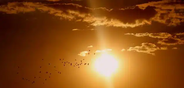 المهدي المنتظر عند السنة ابن باز