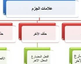 الفرق بين لام التعليل ولام الجحود - مقال